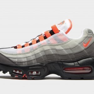 Nike Air Max 95 Og Juoksukengät Monivärinen