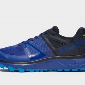 Salomon Trailster Gtx Juoksukengät Sininen